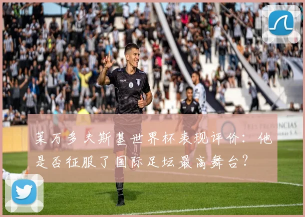 莱万多夫斯基世界杯表现评价:他是否征服了国际足坛最高舞台?