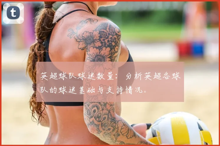 英超球队球迷数量：分析英超各球队的球迷基础与支持情况。
