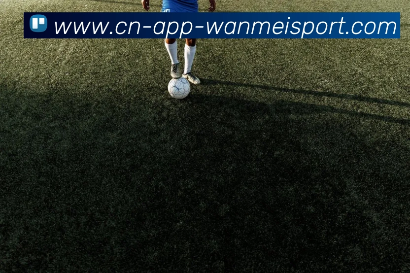 完美体育app品牌故事